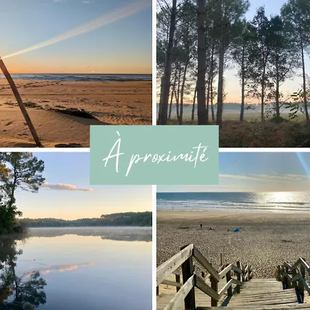 Evasion Nature, Proxy Ocean Et Foret * Messanges (Landes)