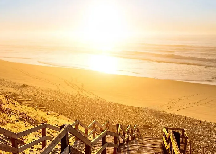 Evasion Nature, Proxy Ocean Et Foret